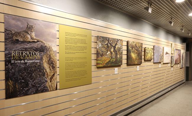 Parte inicial de la exposición de Manuel Sosa en el Museo Nacional de Ciencias Naturales (foto: MNCN).