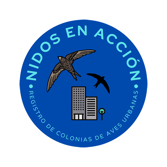 En marcha un registro de las colonias de aves urbanas