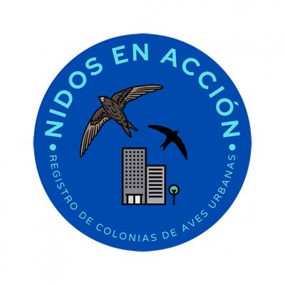 En marcha un registro de las colonias de aves urbanas