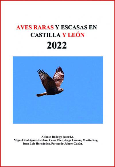 Un año de aves raras y escasas en Castilla y León