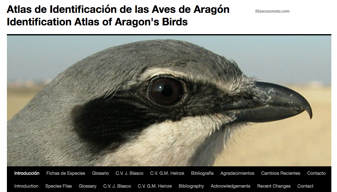 Un atlas fotográfico de aves que hay que conocer