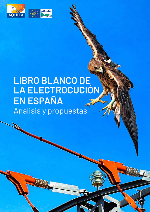 Un Libro Blanco sobre el grave problema de la electrocución de aves