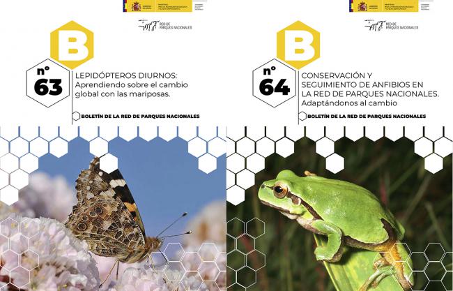 Mariposas y anfibios, en el boletín de los parques nacionales