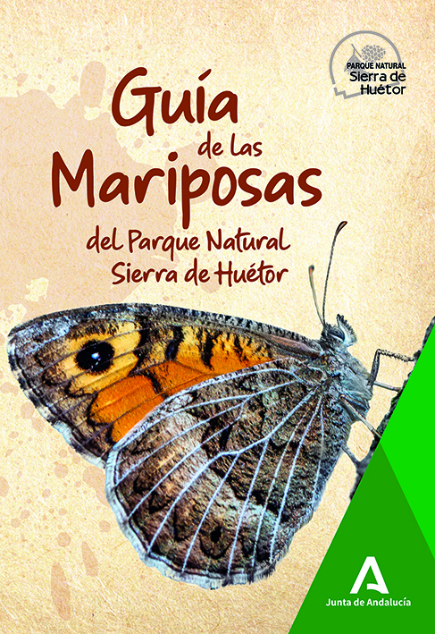 Completo repaso a las mariposas de un espacio protegido de Andalucía