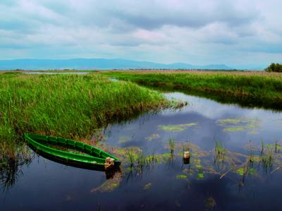 Estampa de las Tablas de Daimiel, uno de los escenarios recogidos en WWF de cerca (foto: Euqirneto / Adobe Stock).