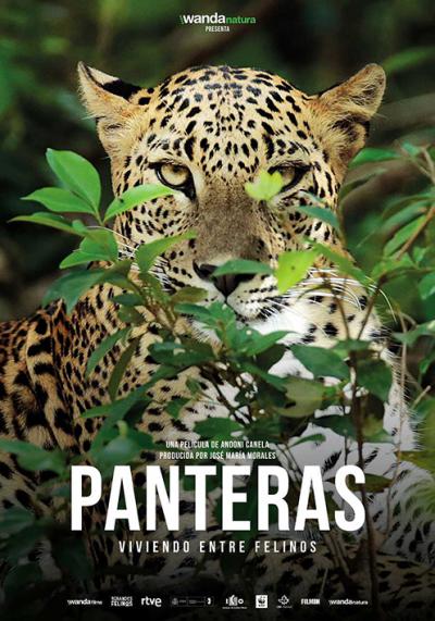 Cartel de la serie documental Panteras.