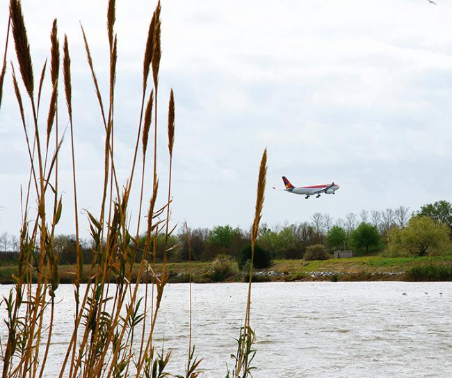 Un avión sobrevuela el delta del Llobregat en las cercanías del aeropuerto del Prat (Barcelona). Foto: sanguer / 123RF.