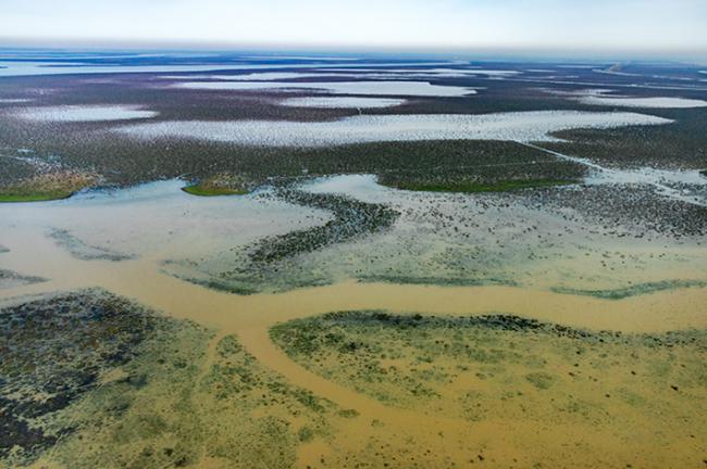 En los años lluviosos la gran llanura de la marisma de Doñana se llena con aguas procedentes de las lluvias y de la escorrentía que llega por alguno de los arroyos que aún desembocan en ella (foto: Jacinto Román).