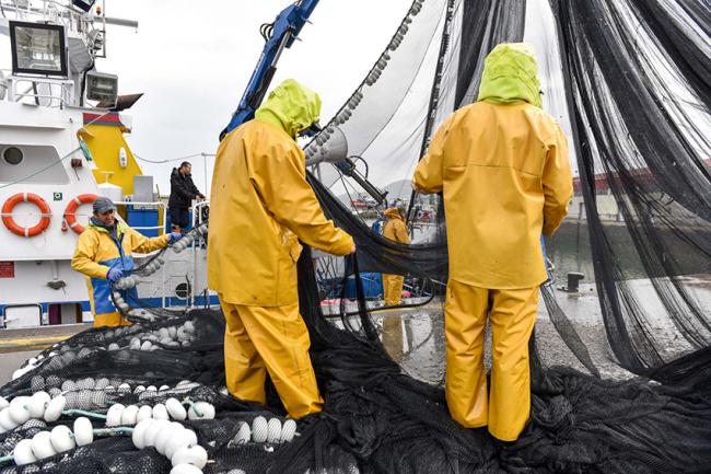 De izquierda a derecha: Recogida de redes de una de las pesquerías certificadas por MSC en aguas cantábricas. Bonito del norte con sello azul MSC descargado en el puerto de Getaria (Guipúzcoa). Fotos: Nerea Falagan y Miguel Calvo /MSC.