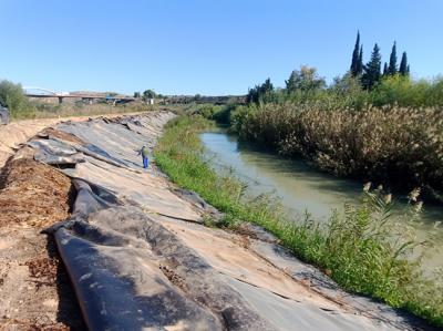 Fase de retirada de una gran extensión de láminas de polietileno reutilizable en la orilla del río Segura, en el tramo de La Contraparada (término municipal de Murcia), con el fin de combatir a la caña, especie invasora (foto: Jorge Sánchez / Anse).