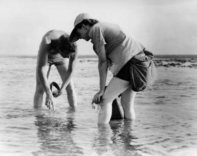 Rachel Carson y su colaborador Bob Hines en 1952, durante un muestreo de fauna costera (foto: Fish & Wildlife Service).