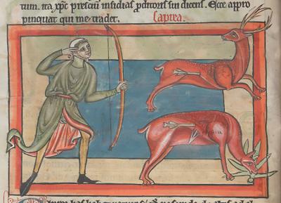 En esta ilustración del Bestiario de Harley (s. XII-XIII) uno de los ciervos heridos ingiere una planta del género Dictamnus con el fin de expulsar las flechas y sanar sus heridas (British Library).