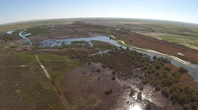 Vista parcial de las Tablas del Záncara o la Junta de los Ríos (Alcázar de San Juan, Ciudad Real) en fase de inundación (foto: Fundación Global Nature).