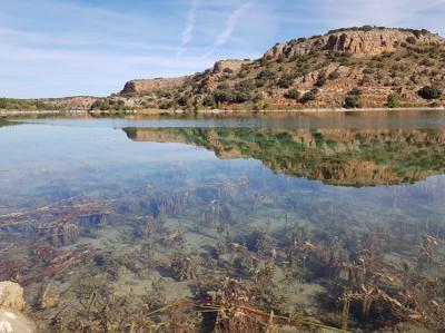 Vegetación acuática y palustre en la laguna de San Pedro, en el Parque Natural de las Lagunas de Ruidera (foto: I. Mosqueda).