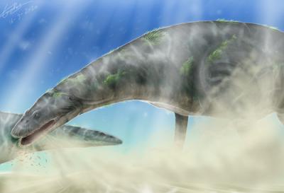 Reconstrucción de dos ejemplares de Paludidraco multidentatus filtrando alimento en el fondo marino (imagen: Carlos de Miguel Chaves).