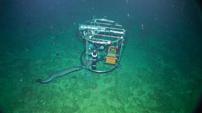 Un "lander" de imagen opera en el banco de El Cachucho (mar Cantábrico). Foto: Francisco Sánchez / IEO-Santander.