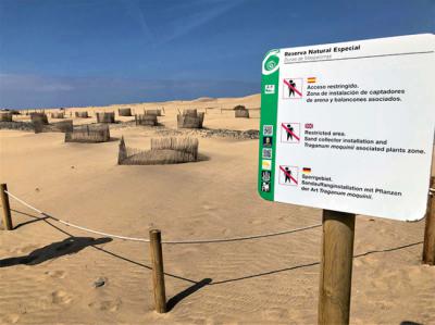 Parcela acordonada en la Reserva Natural Espacial de las Dunas de Maspalomas (Gran Canaria), donde el proyecto Masdunas ha actuado (foto: Manuel Viera).