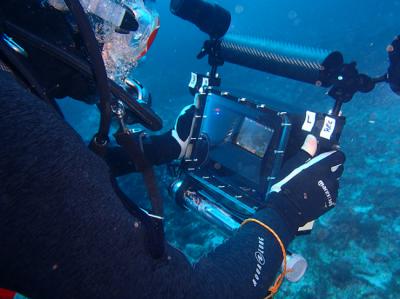 Nuevas tecnologías al servicio de la biodiversidad marina