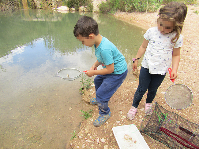 Los más pequeños también participaron en el bioblitz celebrado en mayo de 2019 para inventariar la biodiversidad de la Reserva Natural Fluvial del río Chícamo, en la Región de Murcia 