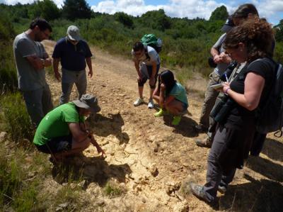 Un grupo participante en las actividades de Llobu observa rastros de la fauna en la Sierra de la Culebra (foto: Javier Talegón).