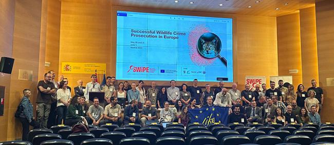Foto de grupo de los asistentes a las jornadas sobre crímenes contra la vida silvestre celebradas en Madrid bajo la cobertura del proyecto LIFE SWiPE (foto: WWF España).