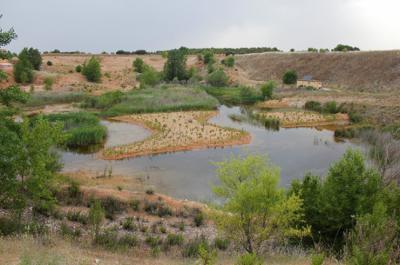 Humedal principal de La Chanta con islas y orillas acondicionadas para anfibios y otros grupos faunísticos, así como zonas revegetadas con planta autóctona (foto: Raquel Sánchez / Brinzal).