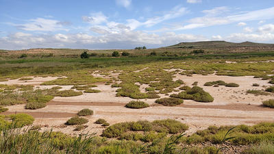 Panorámica de las estepas de Cofín (Alfaro, La Rioja).