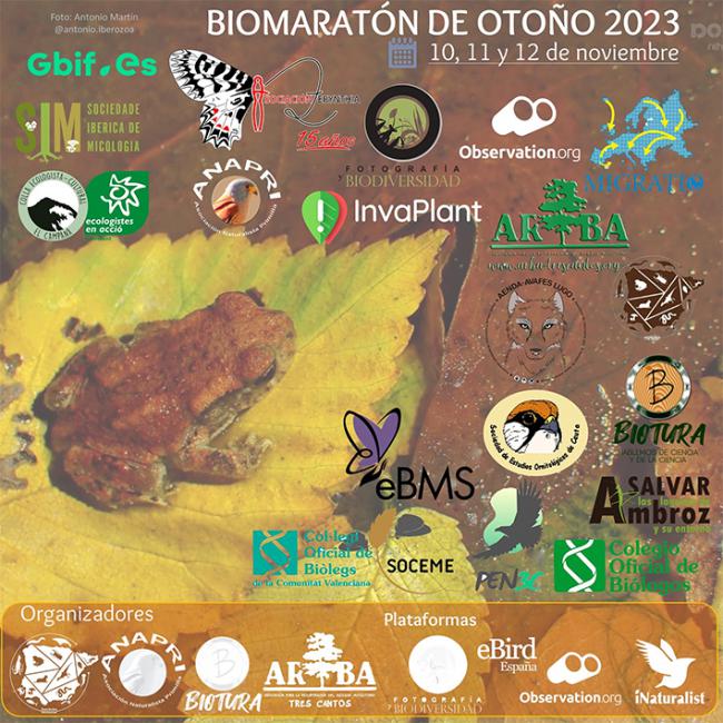 El Biomaratón de Otoño 2023 bate su récord de especies observadas