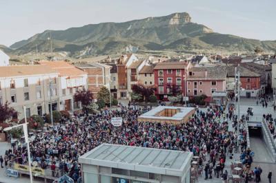 Vista aérea de la manifestacion para salvar la Canal Roya, celebrada en Jaca el pasado 15 de abril (foto: David Ruiz de Gopegui/Ojos Pirenaicos).