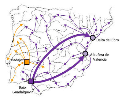 Mapa de la expansión del cangrejo rojo en la Península Ibérica.
