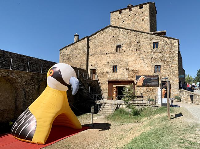 Edificio y entorno del Eco Museo Centro de Visitantes "Castillo de Aínsa".