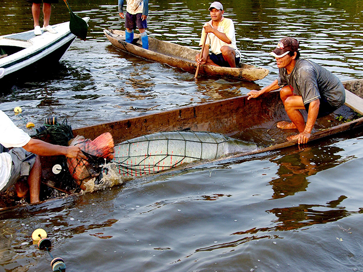 Pesca tradicional – Pacaya Samiria