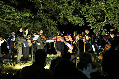 Música y naturaleza se dan la mano en Festiulloa, como puede verse en esta imagen del concierto que se celebró bajo el carballo Tenebrae de Amoexa (Antas de Ulla, Lugo).