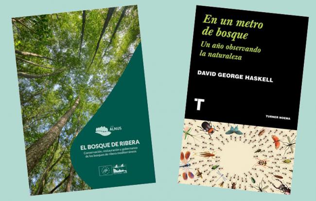 Hoy celebramos el Día Internacional de los Bosques en nuestra librería Linneo