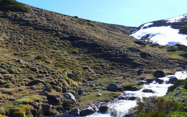 Nacederos de arroyos en una zona del Parque Nacional de la Sierra de Guadarrama que se verá afectada por el "Cross de los Tres Refugios" (foto: RedMontañas).