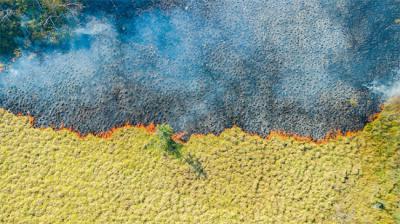 Vista aérea que refleja cómo el fuego avanza por Yerbalito, una de las reservas más valiosas del área protegida de Iberá (Argentina). Foto: Matias Rebak / Fundación Rewilding Argentina.