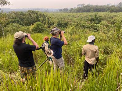 Turistas ornitológicos observan aves en compañía de guías locales en el humedal de Bigodi (Uganda). Foto: Miquel Rafa.