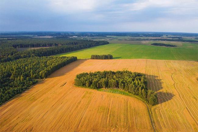Cultivos intensivos y masas forestales en un paisaje característico de Europa central (foto: mikeosphoto / 123RF).