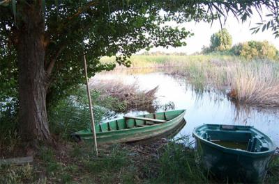 Embarcadero de Julio Escuderos, el último pescador de Las Tablas de Daimiel, junto a La Quebrada. La foto fue tomada en junio de 2004.