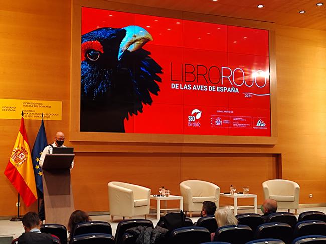 Acto de presentación del Libro Rojo de las Aves de España en la sede del Miteco (foto: José Antonio Montero).