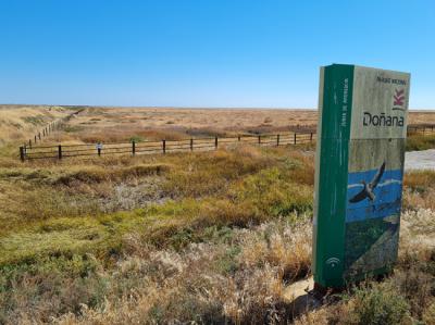 Estado de la marisma norte de Doñana (finca Los Caracoles), totalmente seca a finales de la pasada primavera (foto: WWF España).