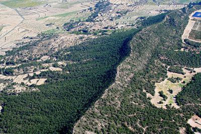 Foto aérea del cordal principal de Sierra Escalona, que se extiende por más de diez mil hectáreas en el sur de la provincia de Alicante (foto: ASE).