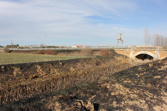 En esta fotografía de una temporada anterior, el cauce y la ribera de este arroyo en Cisneros (Palencia) quedaron calcinados por quemas agrícolas (foto: Asociación De Naturalistas Palentinos).