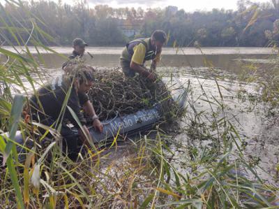 Retirada manual de la población de duraznillo de agua en el río Ebro, a su paso por Logroño, con la participación de agentes forestales de La Rioja en noviembre de 2023 (foto: Ricardo Zaldívar).