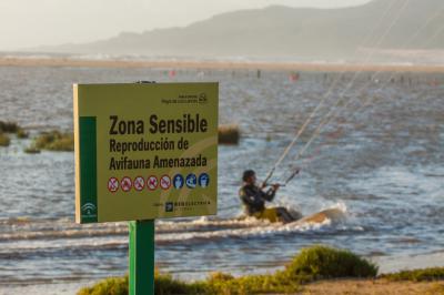 Un kitesurfista en la laguna de Los Lances durante una pleamar, a pocos metros de uno de los muchos e ignorados letreros que prohíben tal actividad (foto: Yeray Seminario / Asociación 14KM).