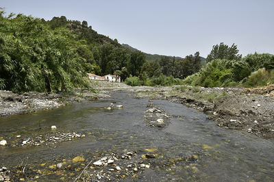 Aspecto actual del río Genal en el tramo intervenido el pasado junio, tras los movimientos de tierra realizados y la eliminación de vegetación de ribera (foto: Óscar Gavira).