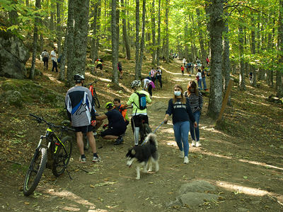 Turistas, senderistas y ciclistas se aglutinan en una de las principales sendas del Castañar de El Tiemblo, incumpliendo en muchos casos las normas establecidas en el enclave.