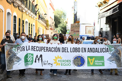 Cabecera de la manifestación que recorrió las calles de Sevilla en favor de la recuperación del lobo en Andalucía (foto: Lobo Marley).