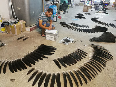 Iván organiza las plumas que conforman el plumaje de un buitre negro en el garaje de su casa en Toledo.