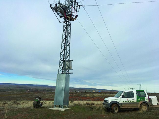 Levantamiento de cadáveres, por parte de agentes medioambientales, de avifauna electrocutada en Boceguillas (Segovia). Foto: Asociación Profesional de Agentes Medioambientales de Castilla y León.